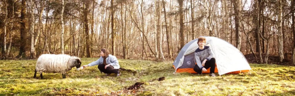 Zwei Personen und ein Schaf sind mit Zelt auf einer Campingwiese.
