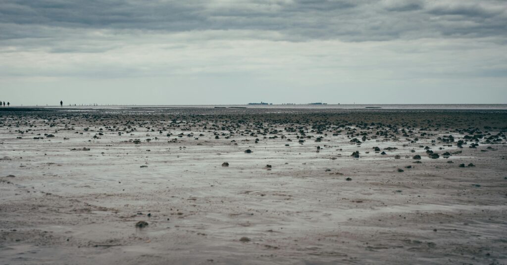 Das Niedersächsische Wattenmeer