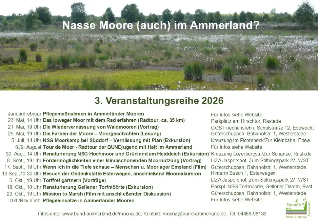 Sharepic zur Veranstaltungsreihe: Nasse Moore (auch) im Ammerland? 3. Veranstaltungsreihe 2026 Januar/Februar: Pflegemaßnahmen in Ammerländer Mooren. Für Infos siehe Website. 23. Mai, 14 Uhr: Das Ipweger Moor mit dem Rad erfahren (Radtour, ca. 35 km). Parkplatz am Hirschtor, Rastede. 21. Mai, 19 Uhr: Die Wiedervernässung von Waldmooren (Vortrag), GOS Friedrichsfehn, Schulstraße 12, Edewecht. 29. Mai, 19 Uhr: Die Farben der Moore - Moorgeschichten (Lesung), Güterschuppen, Bahnhofstr. 1, Westerstede. 5. Juli, 14 Uhr: NSG Moorkamp bei Süddorf - Vernässung mit Plan (Exkursion), Kreuzung Im Fichteneck/Zur Kleinbahn, Edew. 8./9. August: Tour de Moor - Radtour der BUNDjugend mit Halt im Ammerland. Für Infos siehe Website. 30. Aug., 14 Uhr: Renaturierung NSG Hochmoor und Grünland am Heiddeich (Exkursion), Kreuzung Loyerbergstr./Zur Schanze, Rastede. 8. Sept., 19 Uhr: Fördermöglichkeiten einer klimaschonenden Moornutzung (Vortrag), LIZA Jaspershof, Zum Stiftungspark 27, WST. 17. Sept., 19 Uhr: Wenn ich in die Tiefe schaue - Menschen u. Moorlager Emsland (Film), Güterschuppen, Bahnhofstr. 1, Westerstede. 19.Sep.,10:30 Uhr: Besuch der Gedenkstätte Esterwegen, anschließend Moorexkursion, Hinterm Busch 1, Esterwegen. 6. Okt., 19 Uhr: Torffrei gärtnern (Vorträge), LIZA Jaspershof, Zum Stiftungspark 27, WST. 18. Okt., 10 Uhr: Renaturierung Gellener Torfmöörte (Exkursion), Parkpl. NSG Torfmöörte, Gellener Damm, Rast. 29. Okt., 19 Uhr: Mission to Marsh (Film mit anschließender Diskussion), Güterschuppen, Bahnhofstr. 1, Westerstede. Okt./Nov./Dez.: Pflegeeinsätze in Ammerländer Mooren. Für Infos siehe Website. Infos unter www.bund-ammerland.de/mooria.de, Kontakt: mooria@bund-ammerland.de, Tel. 04488-98139.