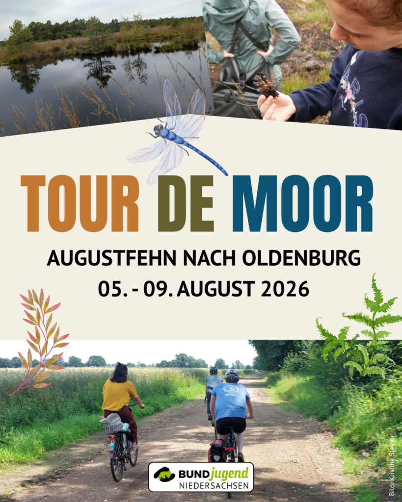 Moor, Libelle, Personen auf Fahrrädern. Tour de Moor. Augustfehn nach Oldenburg. 05.-09. August 2026